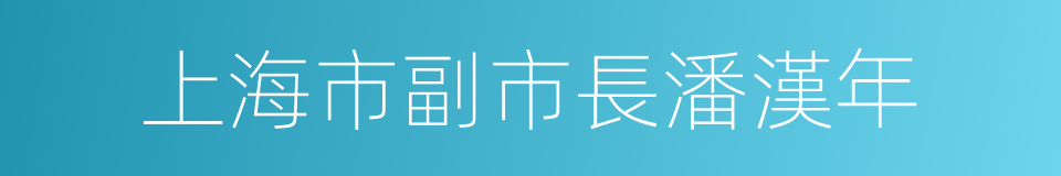 上海市副市長潘漢年的同義詞