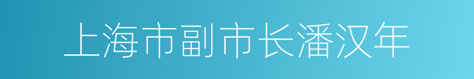 上海市副市长潘汉年的同义词