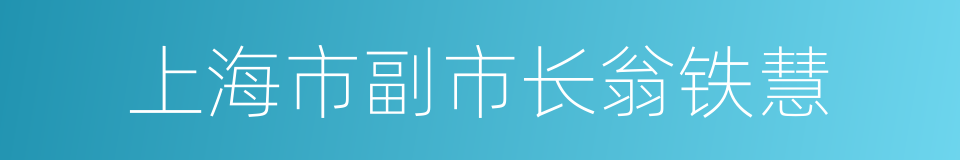 上海市副市长翁铁慧的同义词