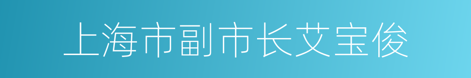 上海市副市长艾宝俊的同义词