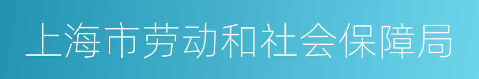 上海市劳动和社会保障局的同义词