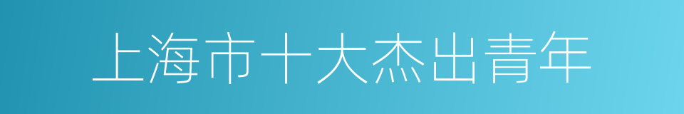 上海市十大杰出青年的同义词
