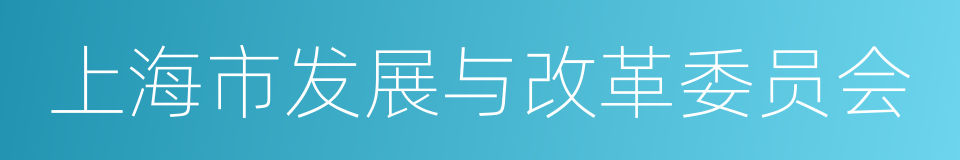 上海市发展与改革委员会的同义词