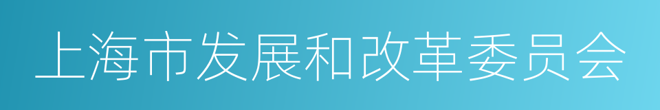 上海市发展和改革委员会的同义词