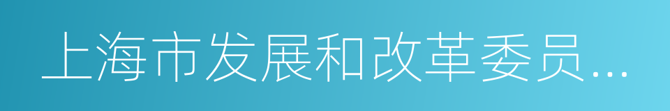 上海市发展和改革委员会副主任的同义词