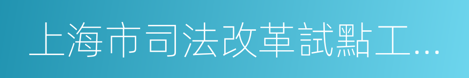 上海市司法改革試點工作方案的同義詞