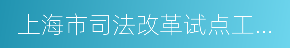 上海市司法改革试点工作方案的同义词