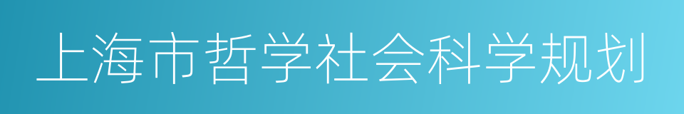 上海市哲学社会科学规划的同义词