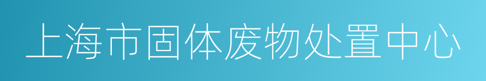 上海市固体废物处置中心的同义词