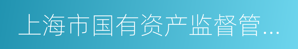 上海市国有资产监督管理委员会的同义词