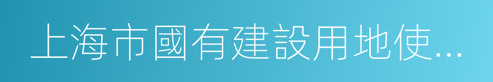 上海市國有建設用地使用權出讓補充公告的同義詞