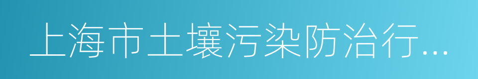 上海市土壤污染防治行动计划实施方案的同义词