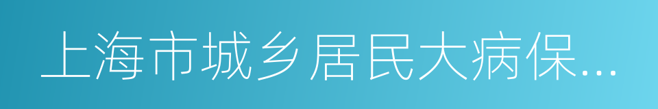 上海市城乡居民大病保险办法的同义词