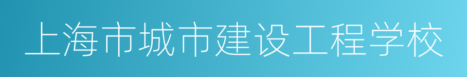 上海市城市建设工程学校的同义词