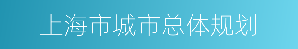 上海市城市总体规划的同义词