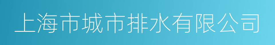 上海市城市排水有限公司的同义词