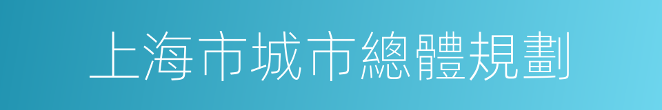 上海市城市總體規劃的同義詞