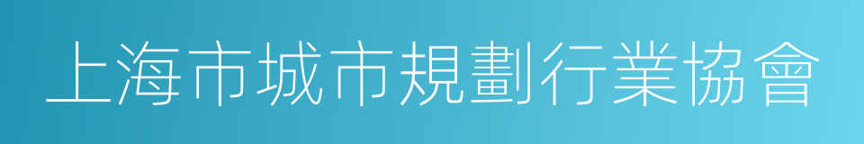 上海市城市規劃行業協會的同義詞