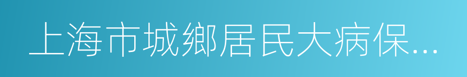 上海市城鄉居民大病保險辦法的同義詞