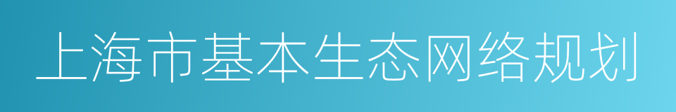 上海市基本生态网络规划的同义词