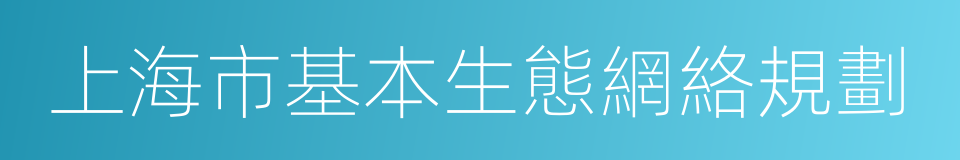 上海市基本生態網絡規劃的同義詞