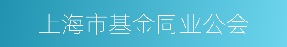 上海市基金同业公会的同义词