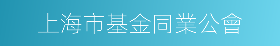 上海市基金同業公會的同義詞