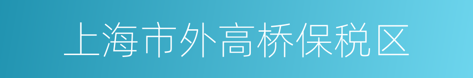 上海市外高桥保税区的同义词