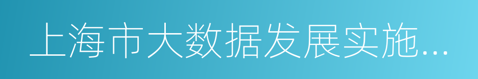 上海市大数据发展实施意见的同义词