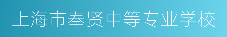 上海市奉贤中等专业学校的同义词