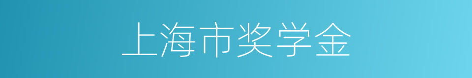 上海市奖学金的同义词
