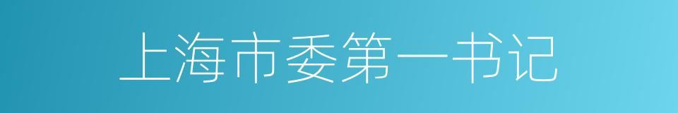 上海市委第一书记的同义词