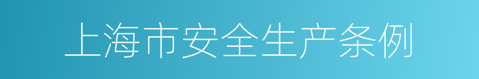 上海市安全生产条例的同义词