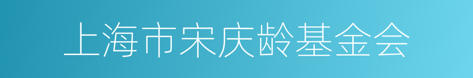 上海市宋庆龄基金会的同义词