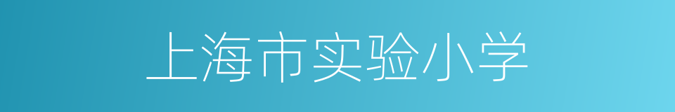 上海市实验小学的同义词