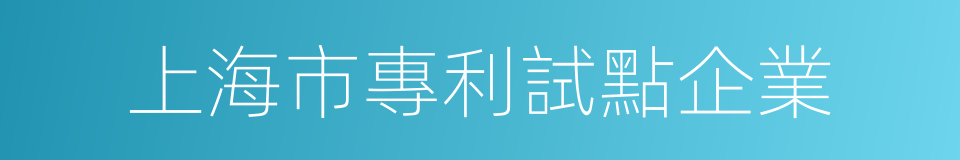 上海市專利試點企業的同義詞