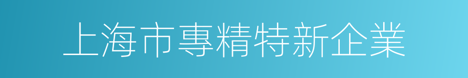 上海市專精特新企業的同義詞