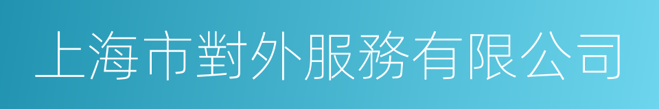 上海市對外服務有限公司的同義詞