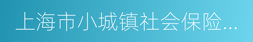 上海市小城镇社会保险暂行办法的同义词