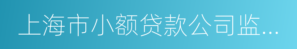 上海市小额贷款公司监管办法的同义词
