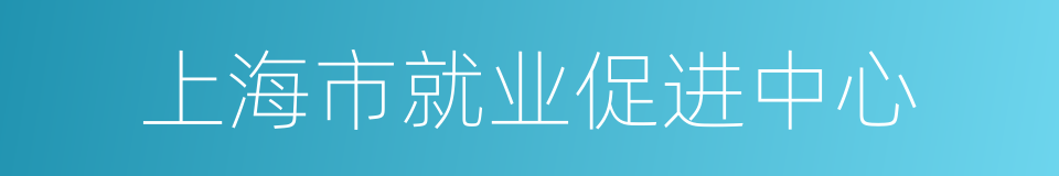 上海市就业促进中心的同义词