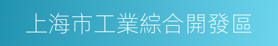 上海市工業綜合開發區的同義詞