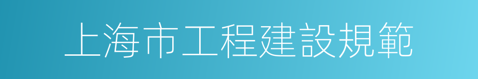 上海市工程建設規範的同義詞