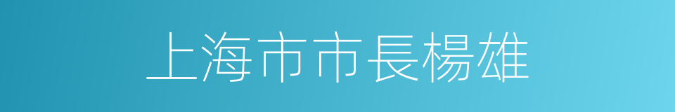 上海市市長楊雄的同義詞