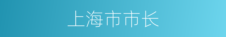 上海市市长的同义词