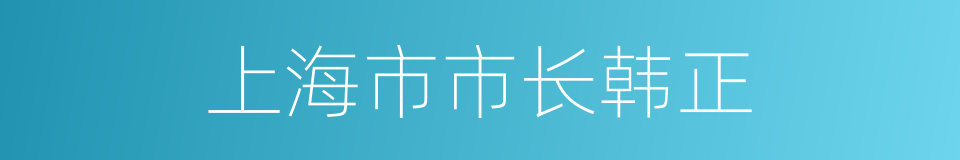 上海市市长韩正的同义词