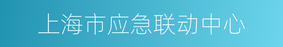 上海市应急联动中心的同义词