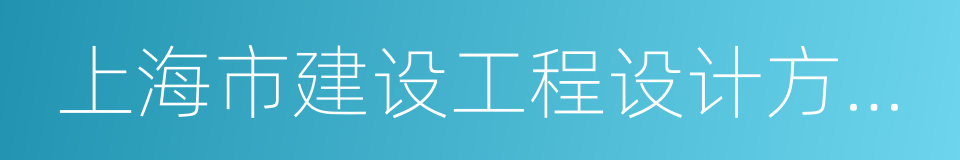 上海市建设工程设计方案规划公示规定的同义词