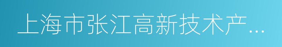 上海市张江高新技术产业开发区管理委员会的同义词