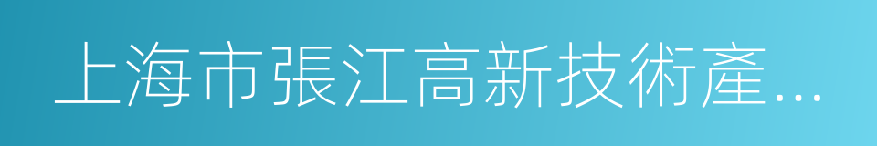 上海市張江高新技術產業開發區管理委員會的同義詞